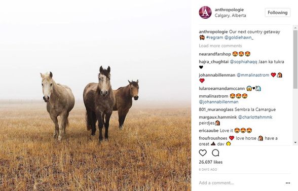 Anthropologie Instagram horses regram