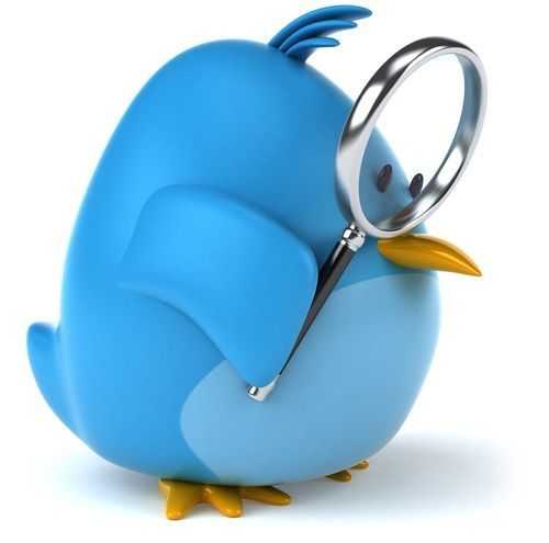 Twitter Bird