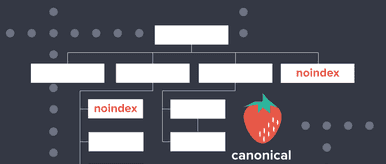 Courtneys Sitemap Post