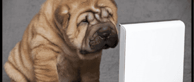 Viral Content Marketing