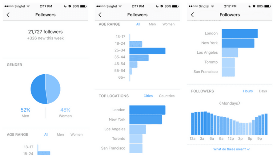 Graphic of pie chart and bar charts in Instagram Analytics